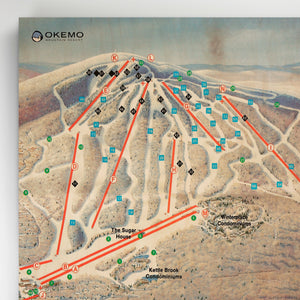 Okemo Resort Map 1989 - Gnarwalls