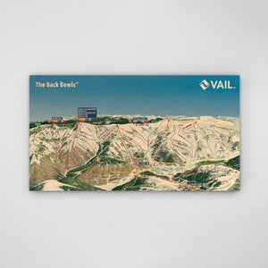 Vail Back Bowls Basin Resort Map - Gnarwalls